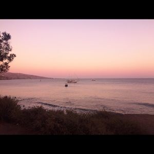 Meet your Posher, Maia